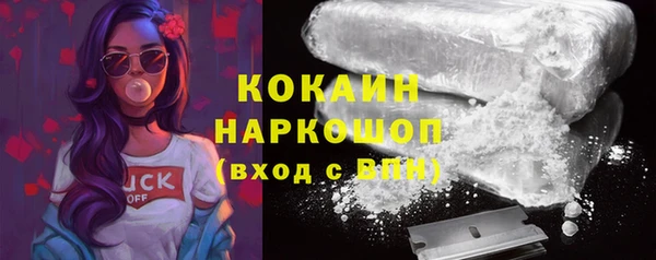 Альфа ПВП Аркадак
