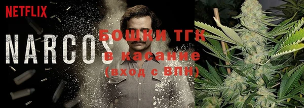 Альфа ПВП Аркадак