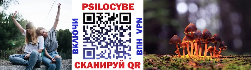 где продают   KRAKEN маркетплейс  Галлюциногенные грибы Psilocybine cubensis  Белая Холуница 