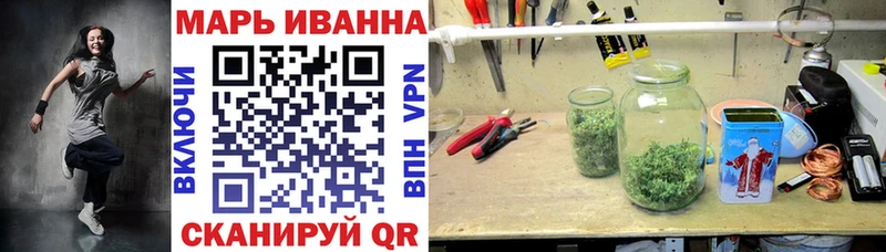 Канабис план Белая Холуница